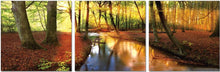 Load image into Gallery viewer, Serene Brook in Golden Autumn Forest – 3-Panel Canvas Wall Art Triptych, 36x36 Inch Each, Nature Landscape Print, Peaceful Woodland Stream Scene
