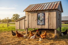 Load image into Gallery viewer, Organic Rooster Grains metal wall sign mounted on a rustic chicken coop
