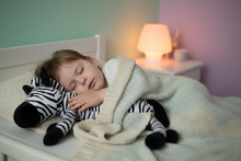 Load image into Gallery viewer, Toddler sleeping with Baby Zoofari Bed Buddy Zebra

